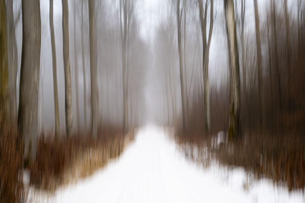 Monatsbilder Februar 2026